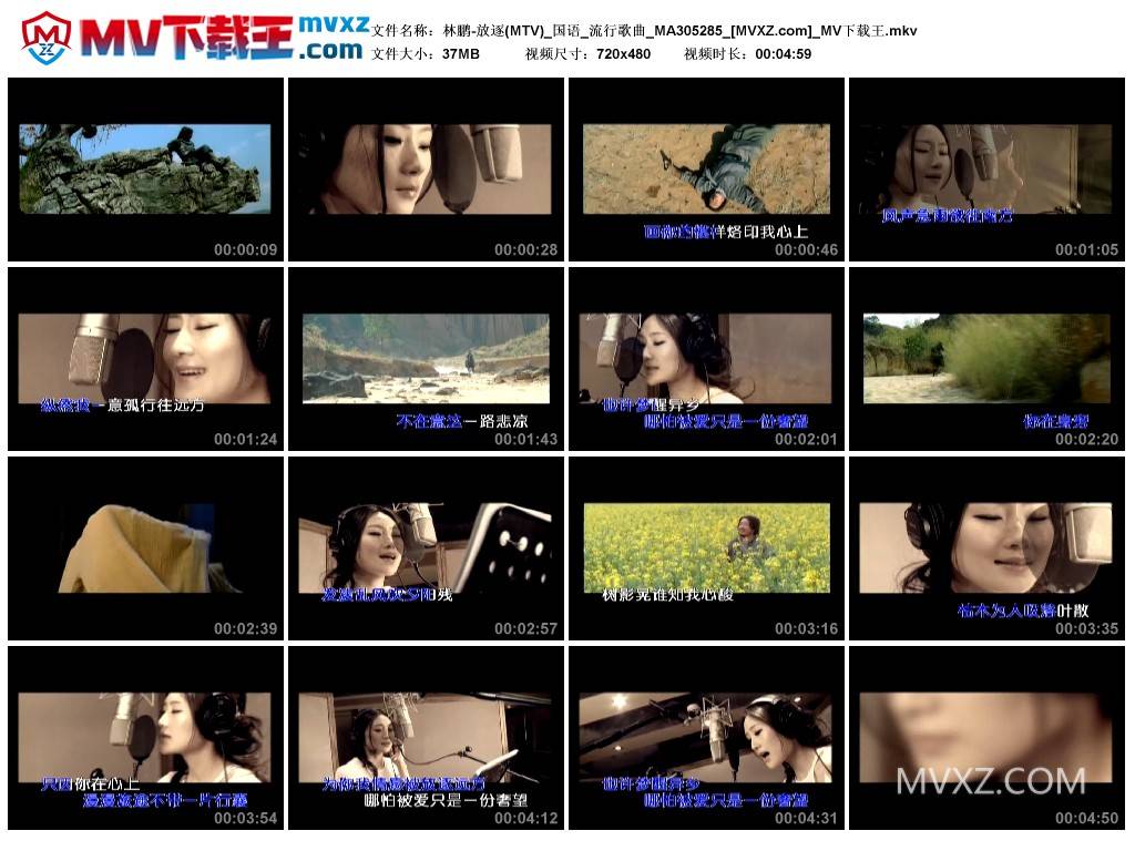林鹏-放逐(MTV)_国语_流行歌曲_MA305285